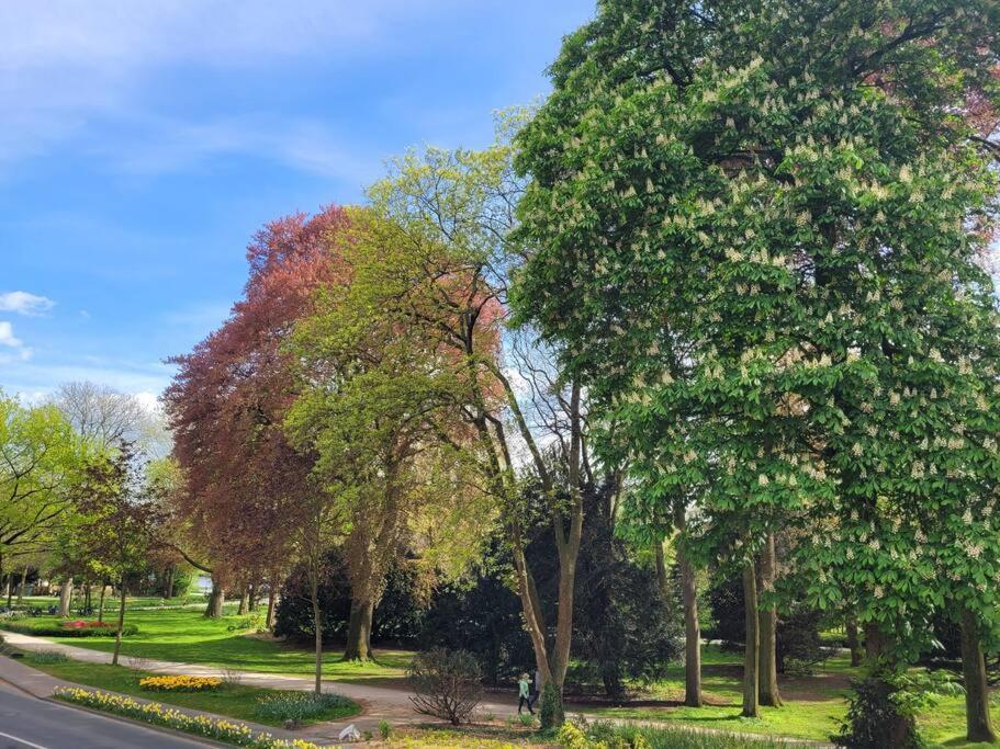 Mit Blick In Den Emsseepark Warendorf Bagian luar foto