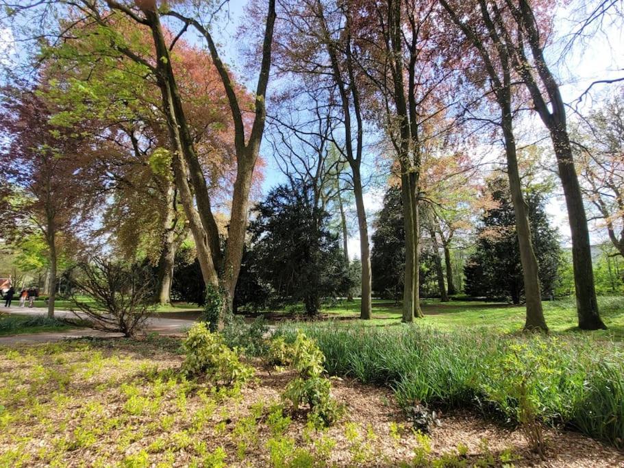 Mit Blick In Den Emsseepark Warendorf Bagian luar foto