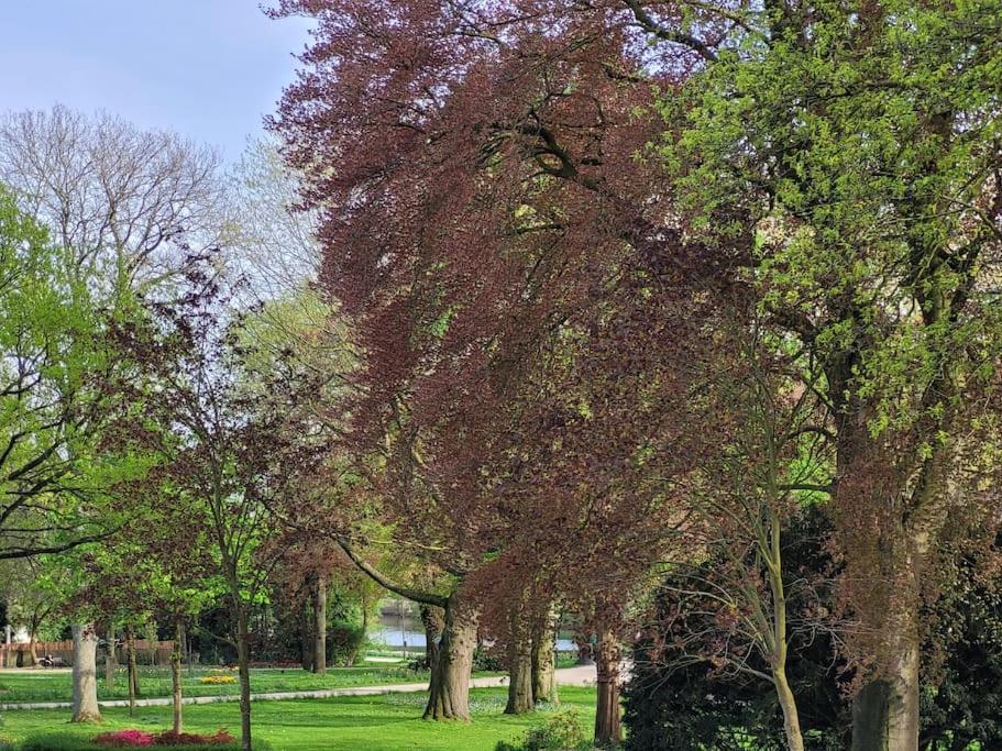 Mit Blick In Den Emsseepark Warendorf Bagian luar foto